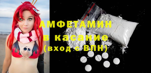 твердый Вяземский