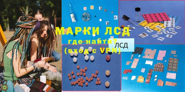 твердый Вяземский