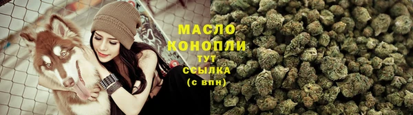 твердый Вяземский