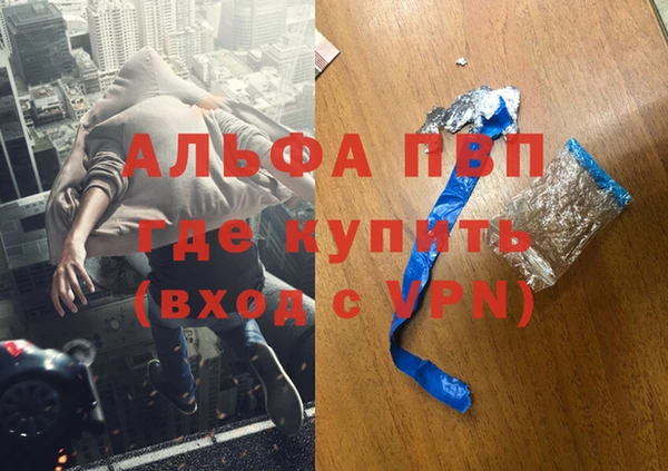 ГАЛЛЮЦИНОГЕННЫЕ ГРИБЫ Вязники